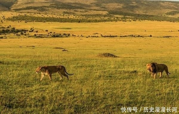  肯尼亚|肯尼亚十大旅游景点一览：大草原、湖泊、野生动物的家园