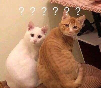  火箭|火箭少女、R1SE、彩虹团争夺团王，团体多样性和偶像出圈不可兼得