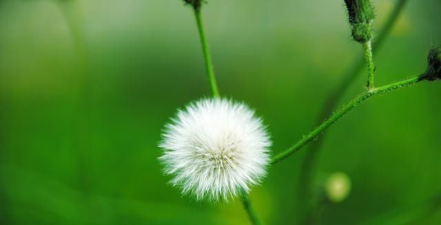 一段话|很现实的一段话,说得真好,今天被刷屏了