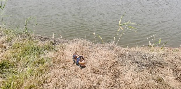  真相|岸边的涵洞伸出一只小手，真相令人后怕