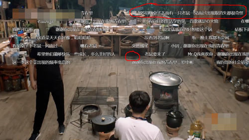  环境|蘑菇屋真实环境遭质疑？厨房有老鼠“凭空”出现，后期来不及打码