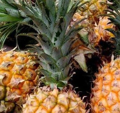 莲子|女性到40岁，坚持吃四种食物，早吃早好，排毒刮油，排毒又养颜