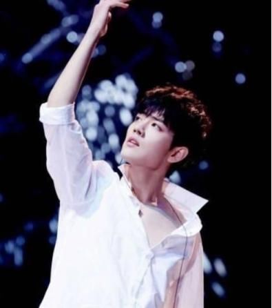 足以|肖战登央视成疑,加盟《唱过夏天》也打上问号,但足以说明影响力