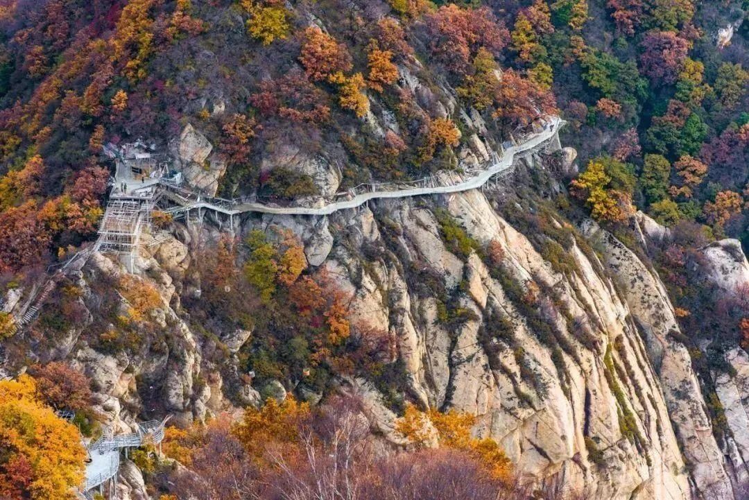 空中画廊|万山红遍!河北12个绝美秋景,邯郸的是这里!