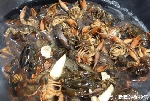 蛄|它长得像“小龙虾”,一问价格没人买,饭店大叔花500元整筐买走
