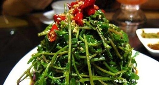  马齿菜|夏天正当时的蔬菜，蒸菜凉拌特鲜