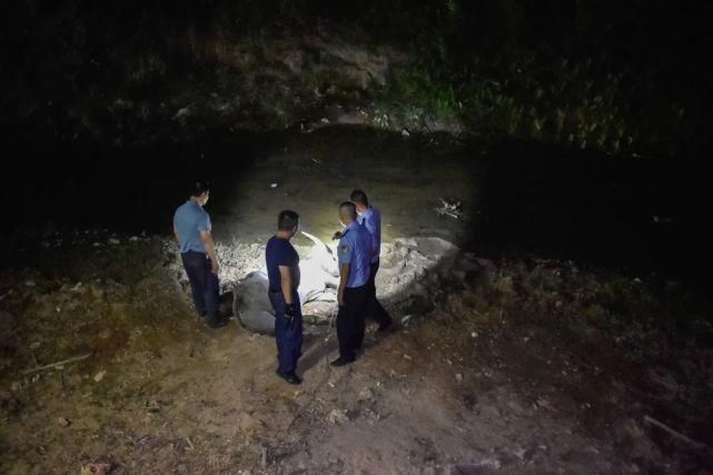  该牛|“疯牛”发狂要伤人，民警处置化险情！