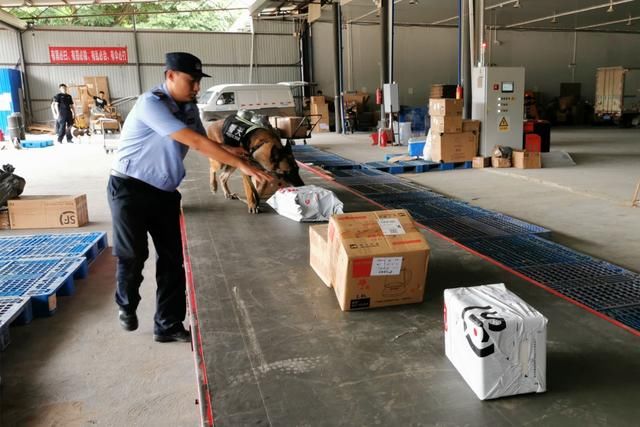  诈骗|电信诈骗用的银行卡，警犬隔着包裹也能闻出来