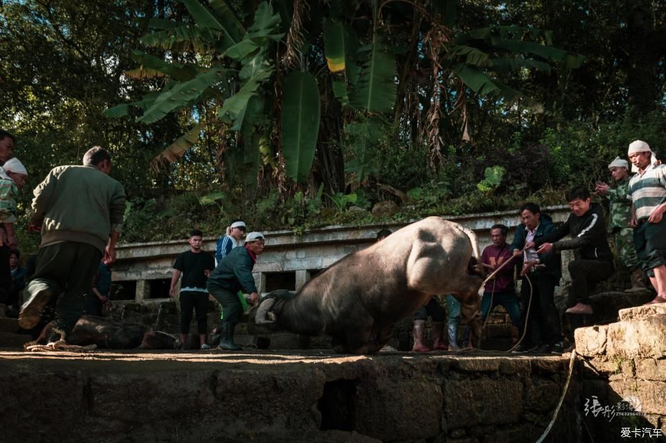  拍摄|美丽云南，大有可观 | 冬季欣赏壮丽的元阳梯田和浪巴铺土林