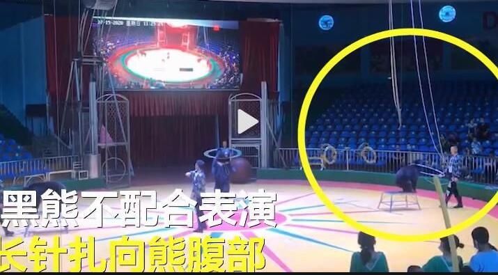 野生动物|东方时评丨善待动物是文明道德的底线