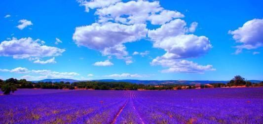  星座|没人理解，也不想表达，镇定从容的星座，哪怕再艰苦，也能熬过去