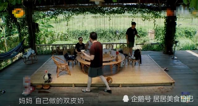  去掉|《向往4》黄磊做双皮奶！当食物去掉滤镜后，网友：不敢下口！