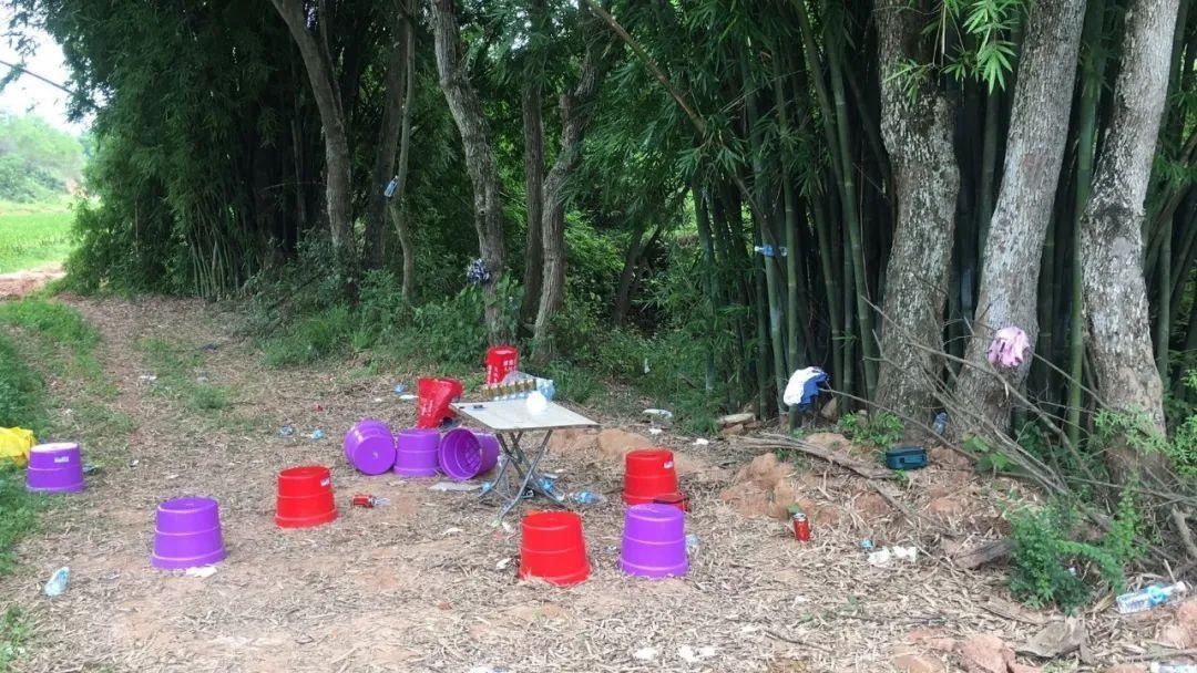  工作中发现|野外山林中，隐秘出租屋内，频频有男子出入……警方突击检累计拘留36人！