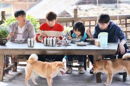  收官之战|《向往的生活》完结了？没有下一季了？听听节目中黄磊是怎么说的