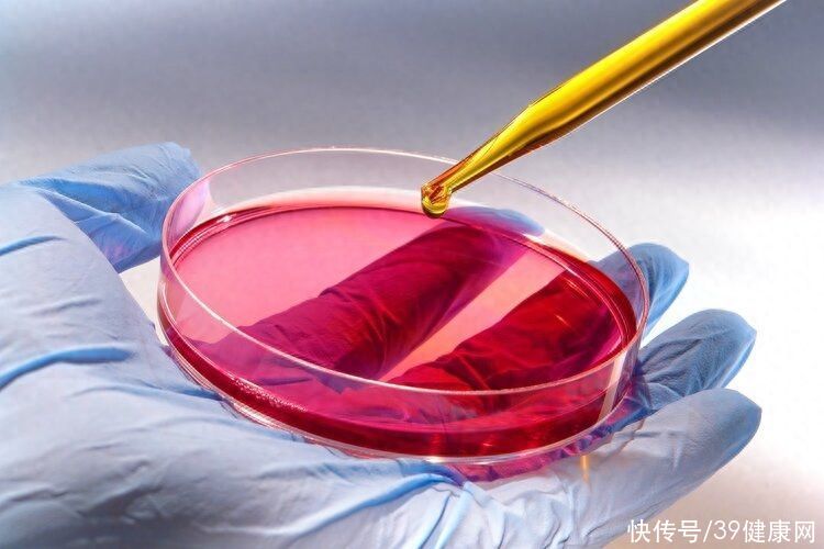 为了长寿，科学家给自己注射350万年前的细菌，如今他怎么样了？2023