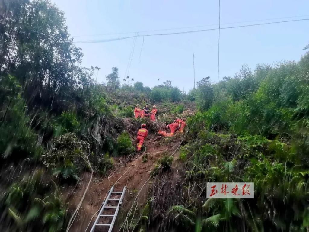  滚落|从山上滚落10多米！维修工人从4米高的光缆上摔下，手臂骨折