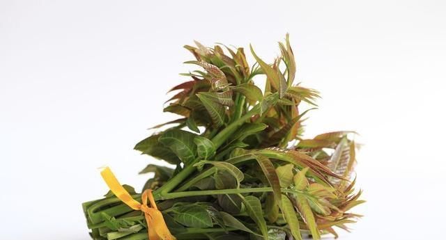  幸运|吃香椿时，你想要焯水？幸运的是，我早就知道了，再也不敢做了