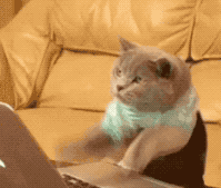  诈骗|一个账户，两波诈骗分子抢着登录取赃款，刑警全抓了！