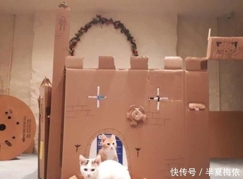 豪华|有才!外国网友用废纸箱,给喵星人打造豪华城堡