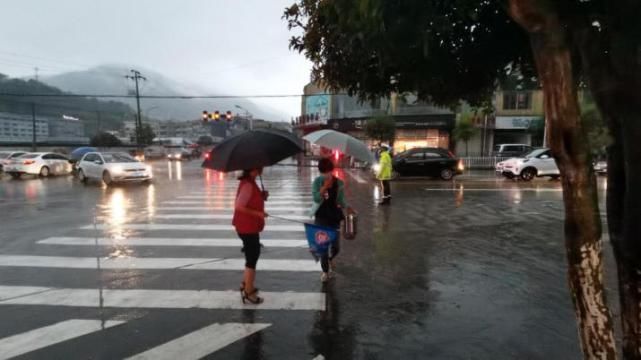  样子|为泰顺这些点赞！雨中的样子，真美！