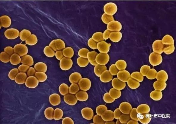 男子|男子烧了条黄鱼，结果被下“病危通知书”