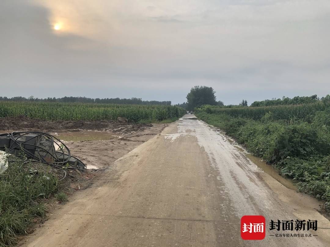 戒备森严|回访虞城命案事发地:村内戒备森严 茫茫玉米地难觅疑犯行踪