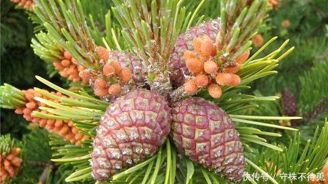 看过|24个冷知识:真实存在于世界,或许看过多遍都不大相信