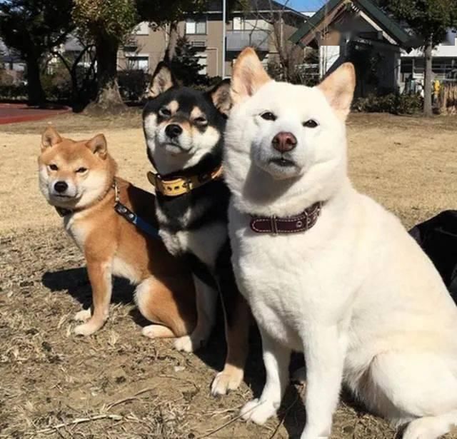 道路交通|海阳“双节期间”重点交通违法行为曝光!!!