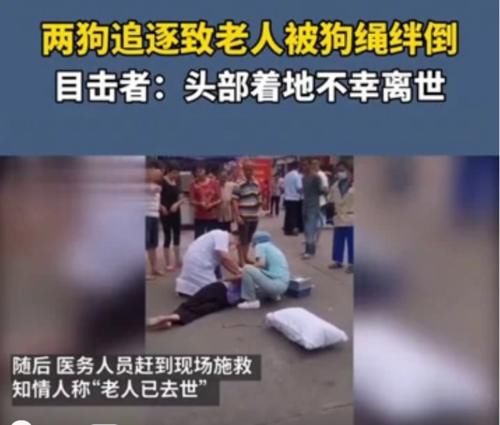  承担|狗绳甩向路边老太，女孩不管不问，加速逃离现场的行为，构成犯罪吗？