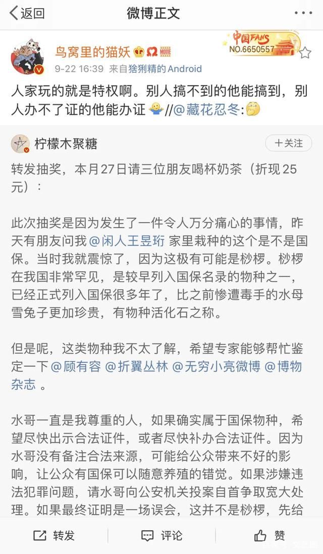  极限挑战|《最强大脑》水哥被扒私养国家二级保护植物，专家否定人工繁育