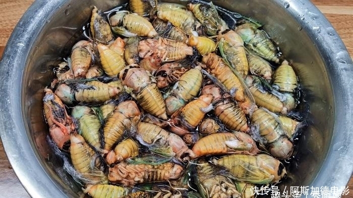 高蛋白|三伏天,宁可不吃肉,遇到此美味别手软,高营养高蛋白,别不懂吃