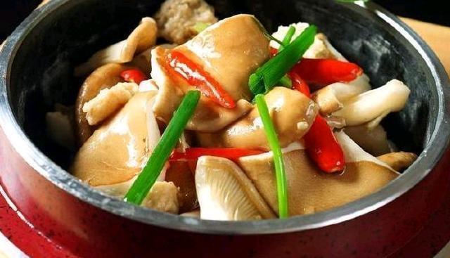  推荐|精选美食推荐红烧财鱼片，炝炒鱼，培根炒猪肚菌的做法