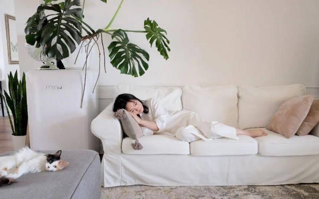  吊钟|她们的家，美得很让人种草