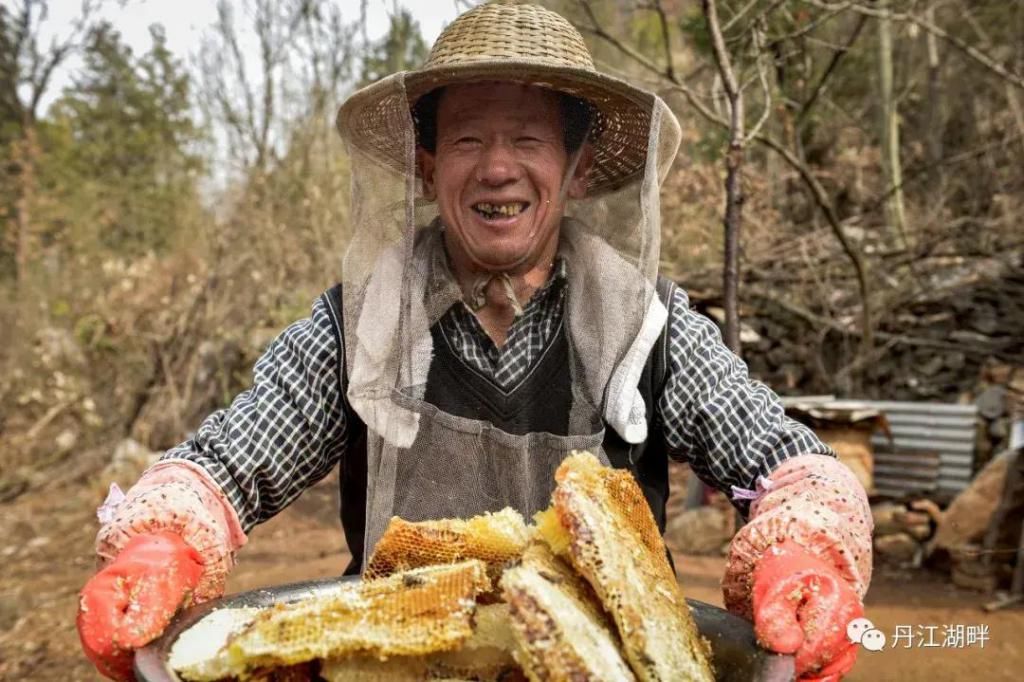 淅川|淅川脱贫档案解密：贾小民的脱贫之路