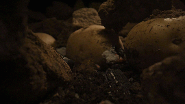 西北|蹲个西北人:洋芋擦擦夹夹格格颗颗到底是啥?