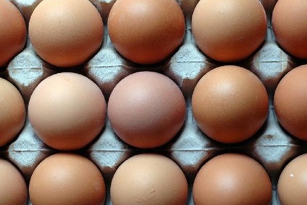  蛋白质|每天一个煮鸡蛋好事多多，但切记“三不”，早知道早受益！