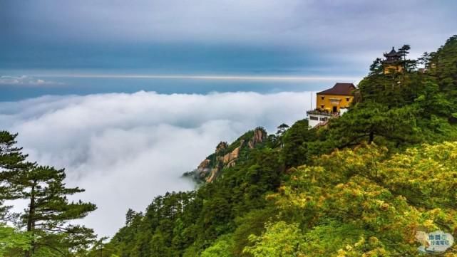  九华山|九华山旅游必去瞻仰的景点之一，为国际性佛教道场的标志景观之一