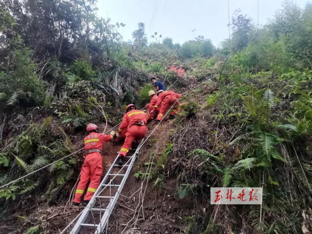  滚落|从山上滚落10多米！维修工人从4米高的光缆上摔下，手臂骨折