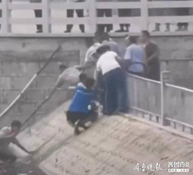  齐鲁壹点|东平好汉，久仰！全城寻找东平救人老大爷