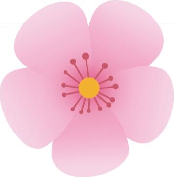  文山|一通陌生来电，文山一女子被骗2万元……