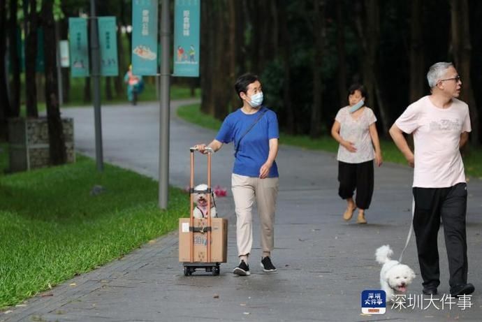 局部|深圳周日局部仍有暴雨，国庆假期前期仍有较明显降雨