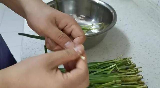  刘大妈|奶奶偷邻居“韭菜”包成饺子，孙子中毒索赔50万你家的菜你来赔