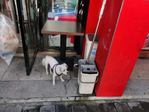 现象|文明创建曝光台丨今天曝光这些不文明现象！