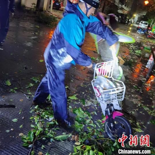 应急管理局|“黑格比”直击浙江沿海：风雨袭窗 树木连根拔起