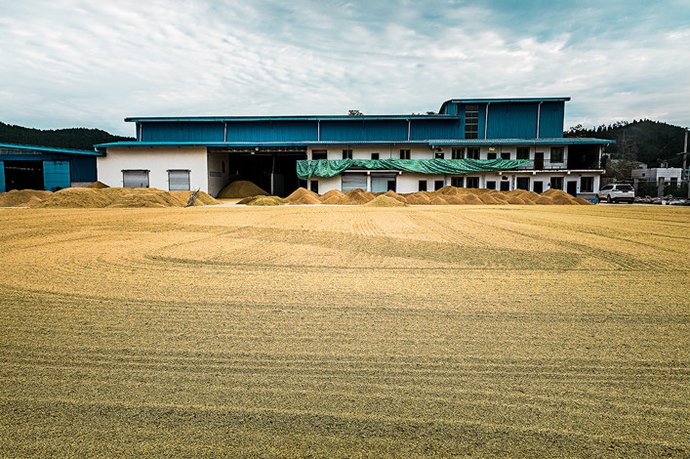 确保米|精致的生活，从一碗甘甜可口的米饭开始！