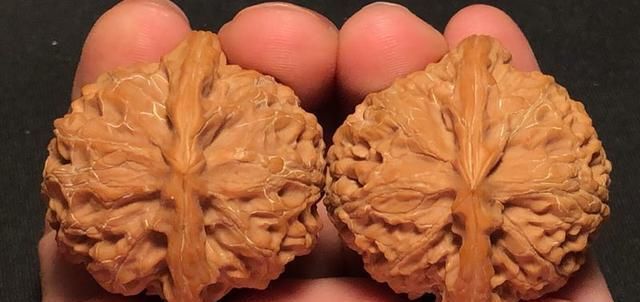  样子|好的核桃到底是什么样子的