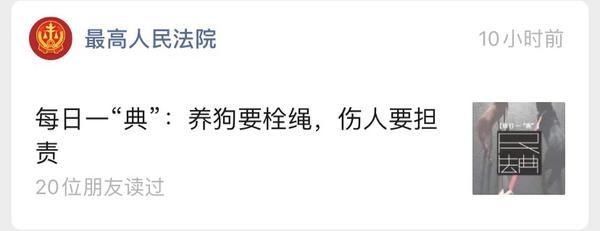 法院|多家法院公号刷屏:养狗要拴绳,伤人要担责