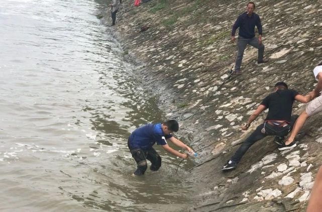  落入|「现场」一少年落入颍河闸湍急的水中！还有这些场景让人担忧