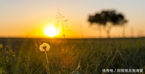 聪明|刘若英:聪明的女人,一辈子三不问!