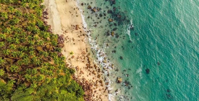  提前|提前恭喜这几个星座，下半年成功转运，期待的总会来的！